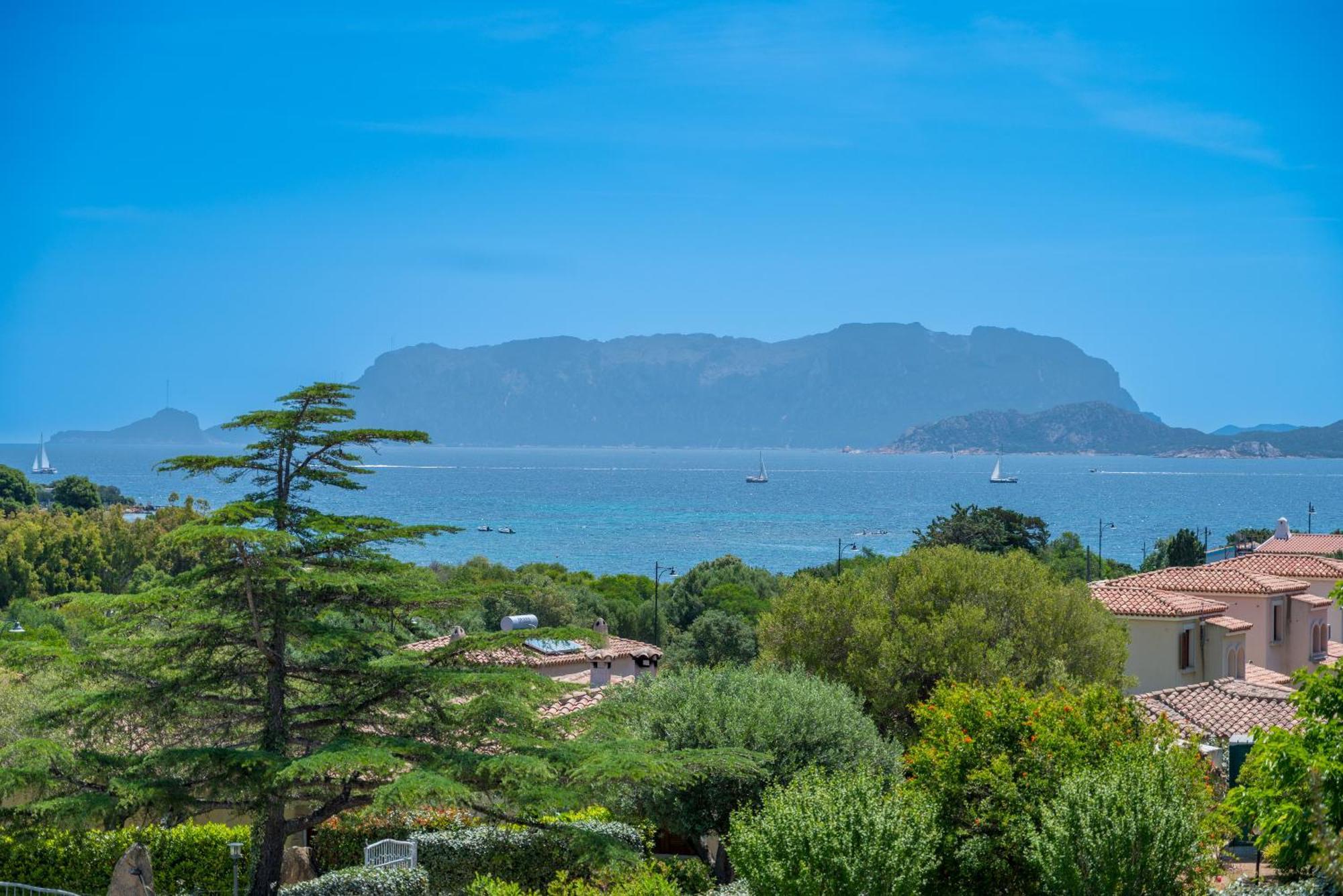 Appartement Bilocale Conchiglia 1 Olbia